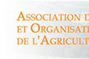 38503_8.jpg