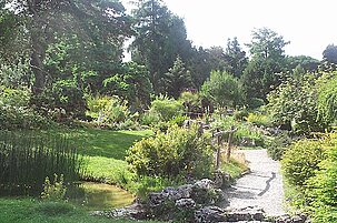 46793_8.jpg