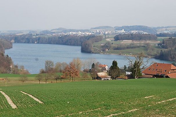 40188_8.jpg