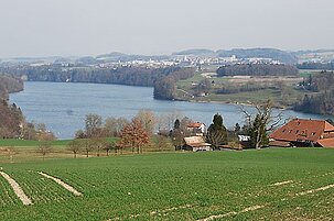 40188_8.jpg
