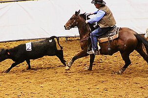 42260_8.jpg
