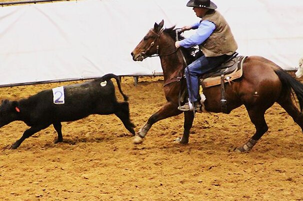 42260_8.jpg