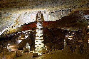 89516_8.jpg