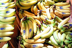 39543_8.jpg