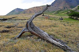 53497_8.jpg