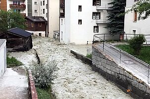 83414_8.jpg
