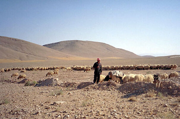 6753_8.jpg