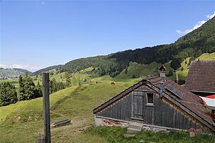 91305_8.jpg