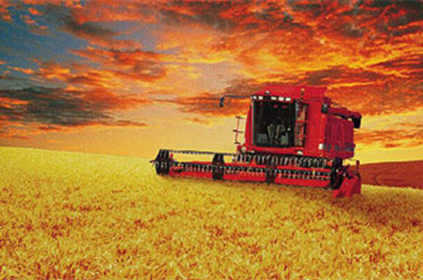 6400_8.jpg