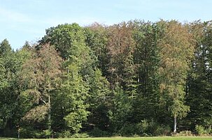 82567_8.jpg
