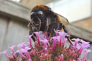 48343_8.jpg