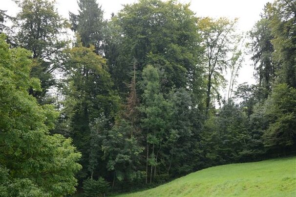 89251_8.jpg