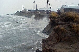 57474_8.jpg