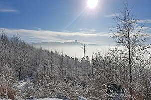 61158_8.jpg