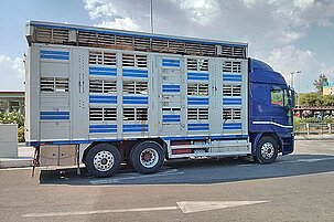 79530_8.jpg