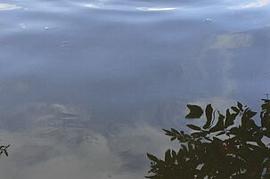 68943_8.jpg