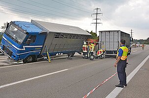 42789_8.jpg