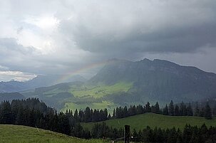56515_8.jpg