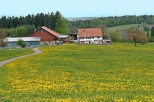 48702_8.jpg