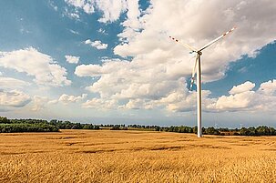 65719_8.jpg