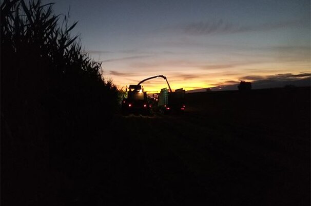 85130_8.jpg