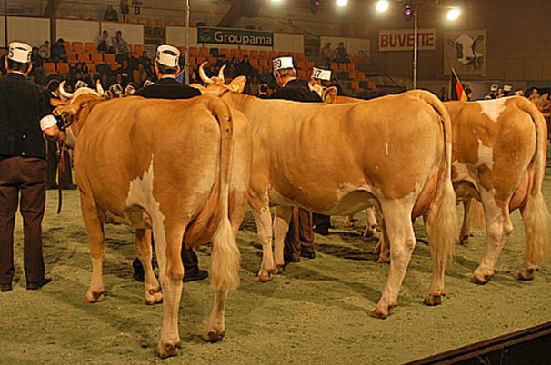 29087_8.jpg
