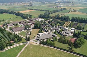 70184_8.jpg