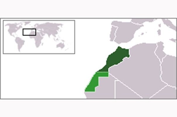 53522_8.jpg
