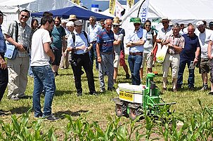 56179_8.jpg