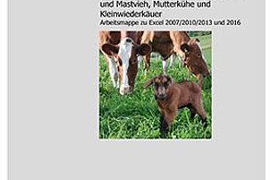61645_8.jpg