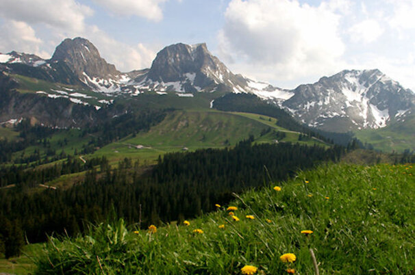2546_8.jpg