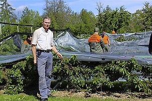 63285_8.jpg