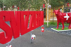 77246_8.jpg