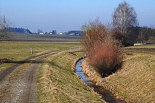 51677_8.jpg