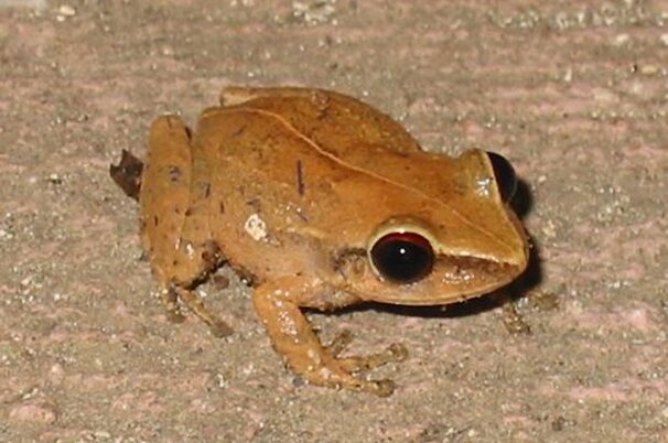 40097_8.jpg