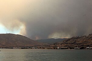 55936_8.jpg
