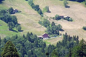 73955_8.jpg