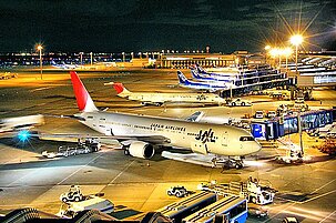 46404_8.jpg
