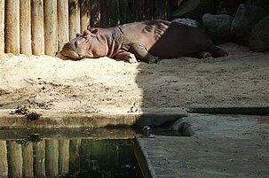 42398_8.jpg