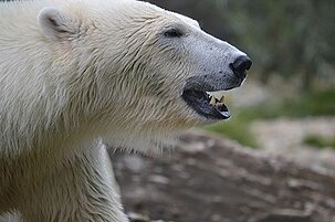 74394_8.jpg