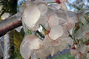 62852_8.jpg