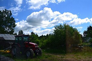 73134_8.jpg