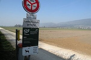 80664_8.jpg