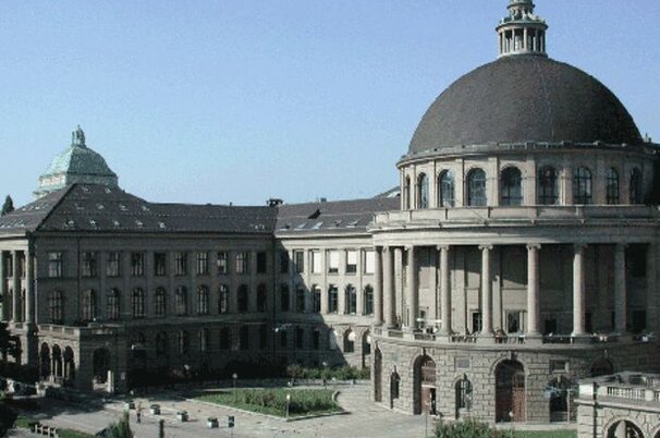 4943_8.jpg