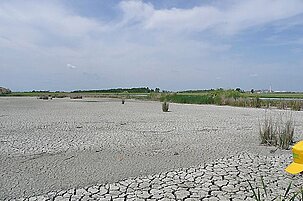 49682_8.jpg