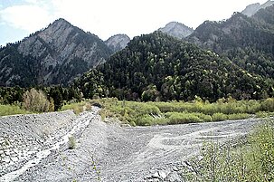 72431_8.jpg