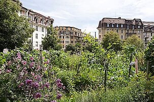 48166_8.jpg