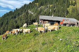 50672_8.jpg