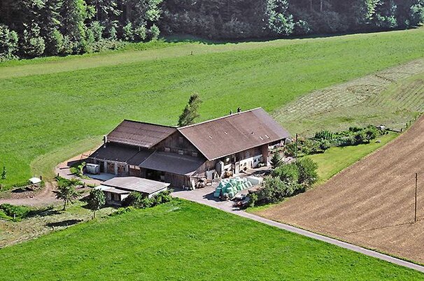 38537_8.jpg