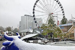 63088_8.jpg